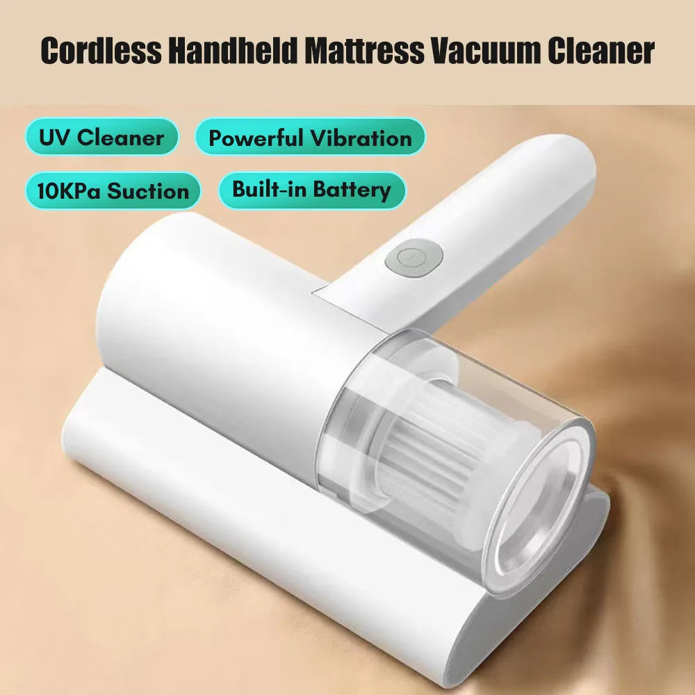 HOUSEHOLD HIGH-FREQUENCY STRONG MITE REMOVAL INSTRUMENT