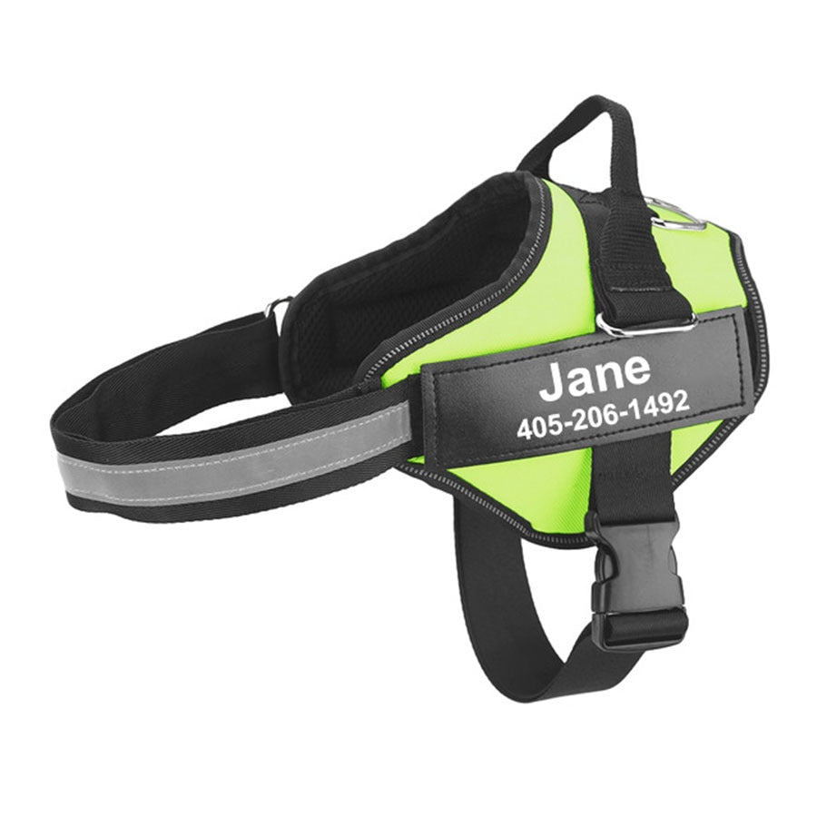 Custom Dog Harness