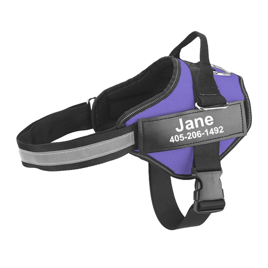 Custom Dog Harness