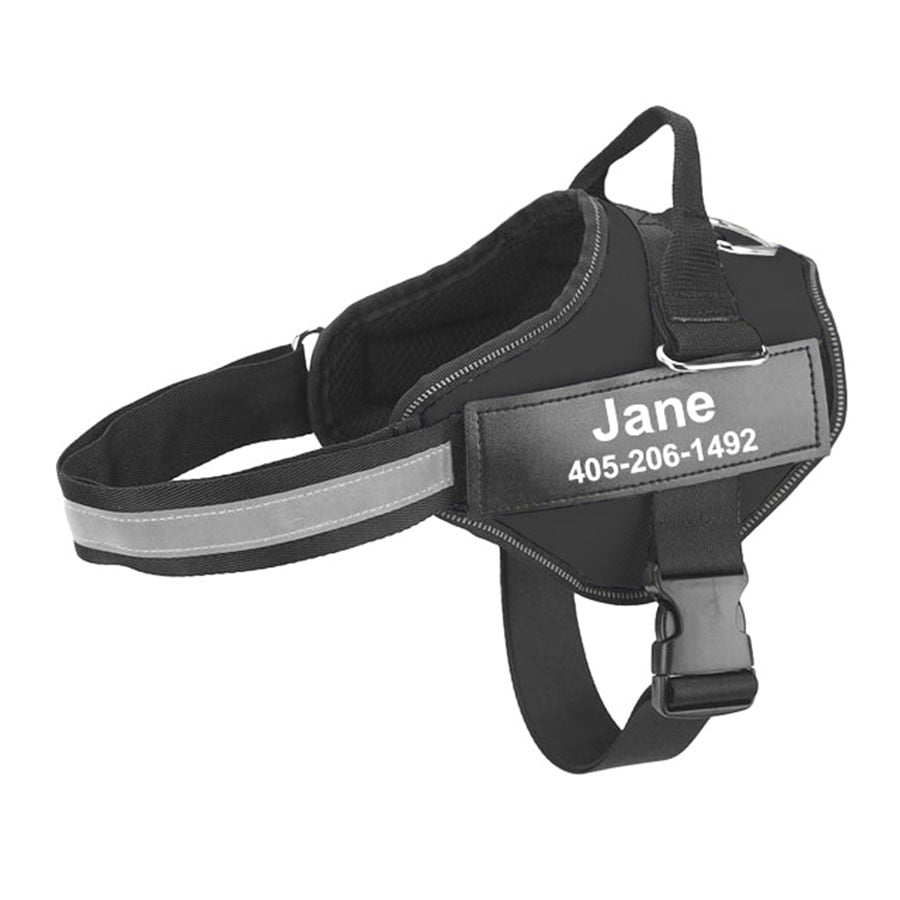 Custom Dog Harness