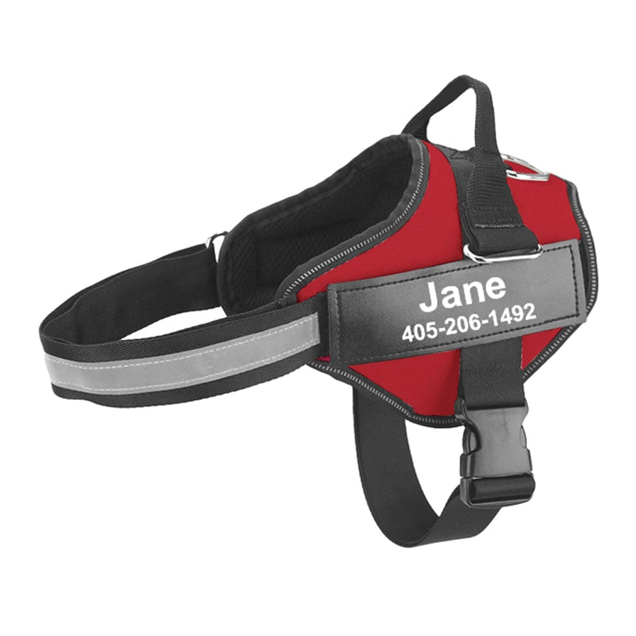 Custom Dog Harness