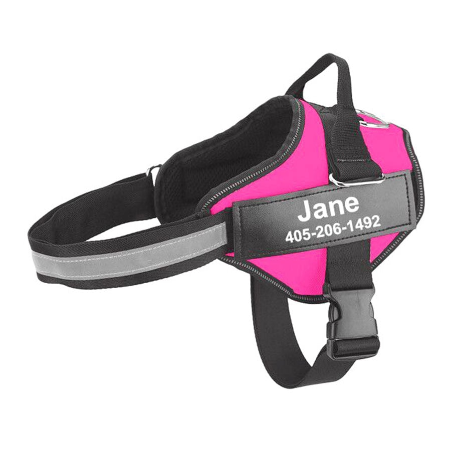 Custom Dog Harness