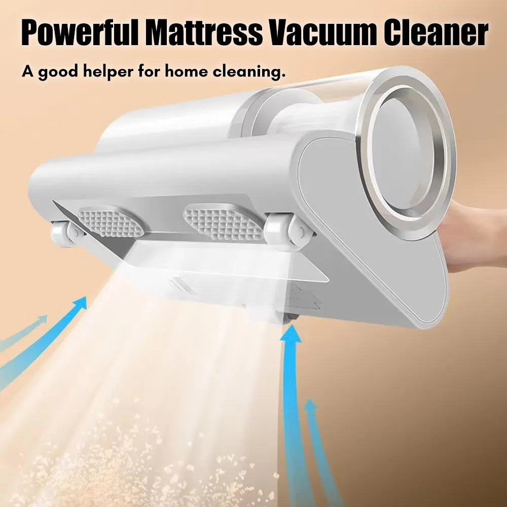 HOUSEHOLD HIGH-FREQUENCY STRONG MITE REMOVAL INSTRUMENT