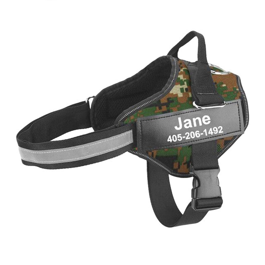 Custom Dog Harness