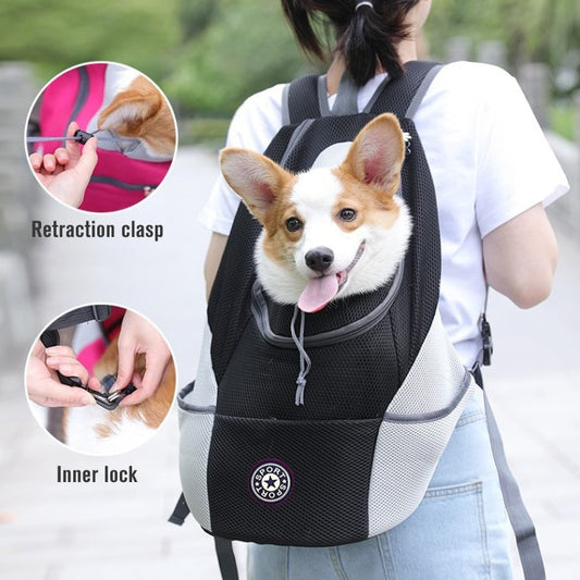 Summer Dog Backpack
