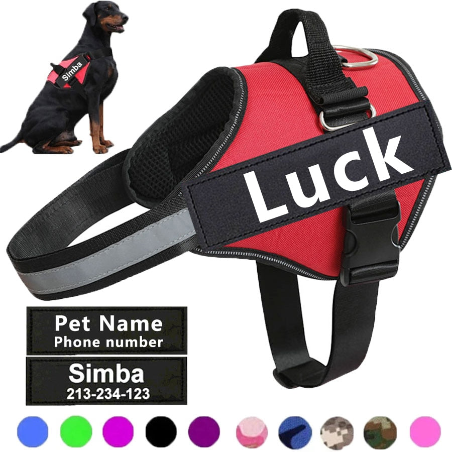 Custom Dog Harness