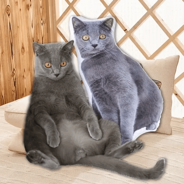 PERSONALISED PET PILLOW