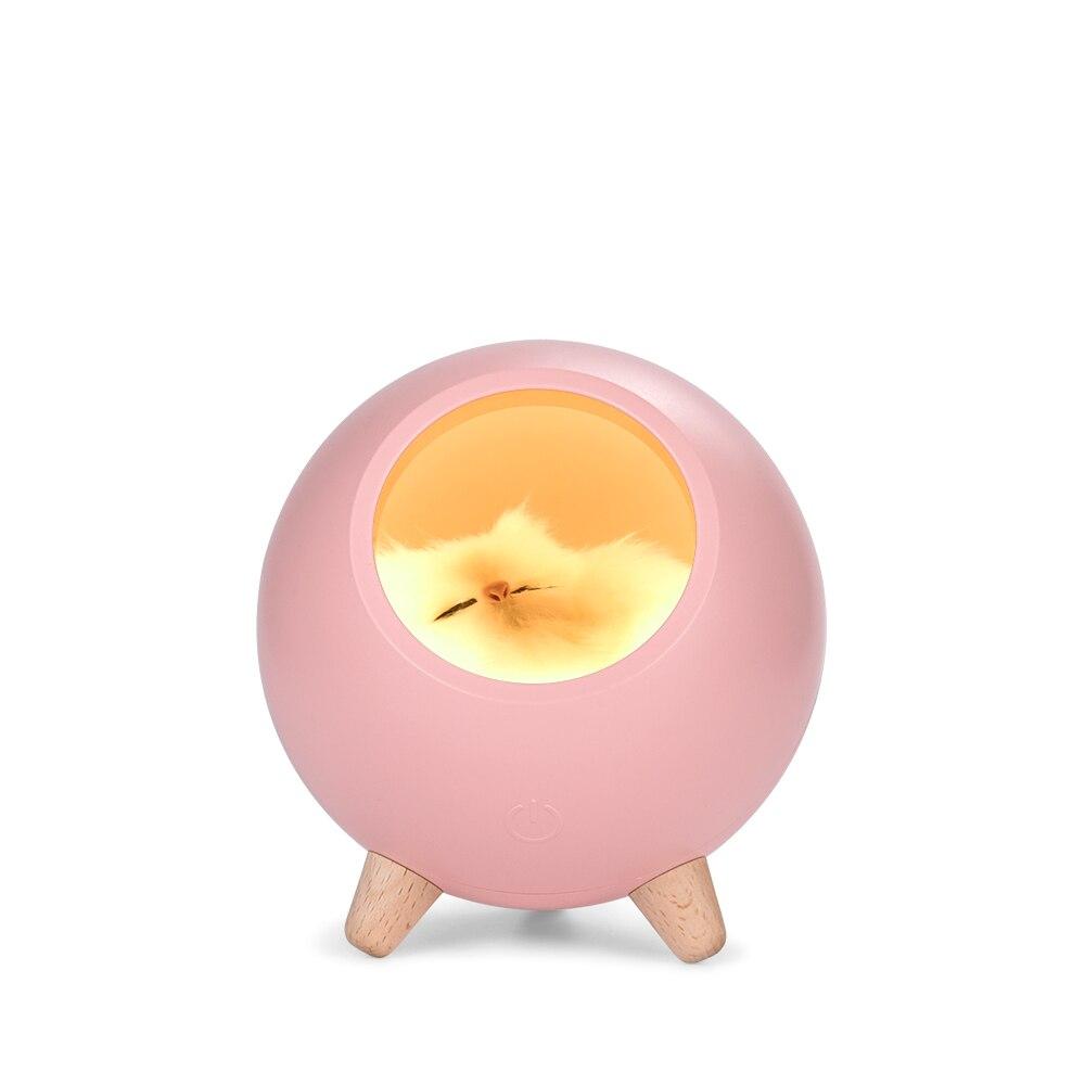 LED Cute Cat House