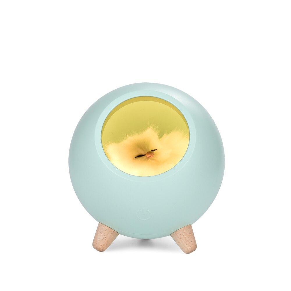 LED Cute Cat House