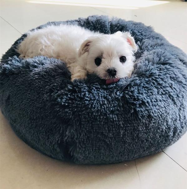 Marshmallow Cat Bed [HOT Selling]