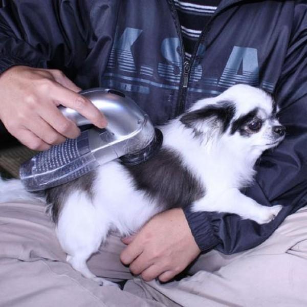Pet Vacuum