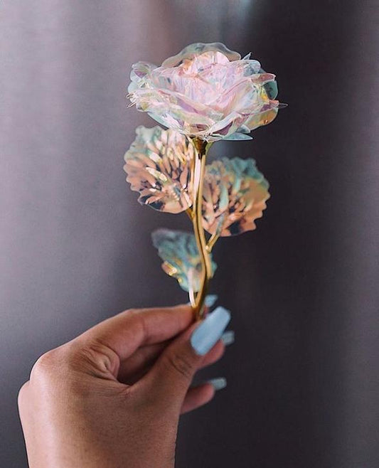 Galaxy Rose